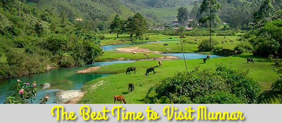 tour-packages-from-madurai